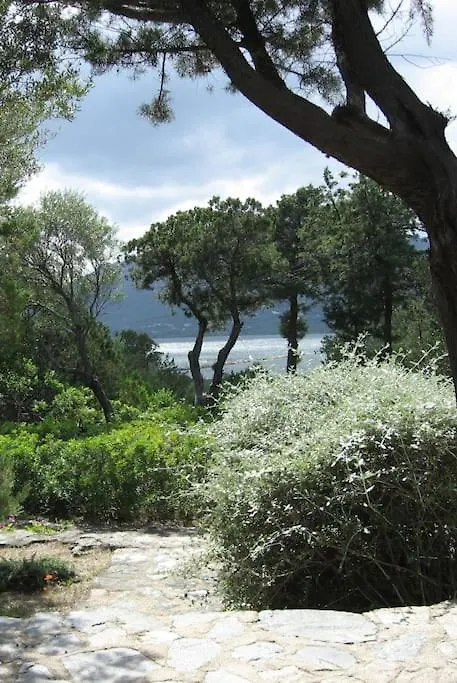 Villa Rossa - 200 Meters From The Sea- Porto Rotondo
